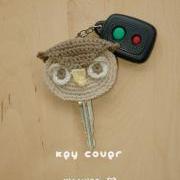 Owl Key Cover Crochet PATTERN - Chart & Written Pattern by Kittying